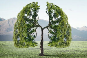 Five Elements Southwell Acupuncture - Metal Element