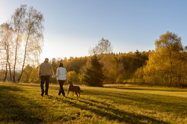 Acupuncture and Autumn