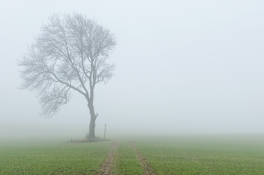Southwell Acupuncture Blog - See through Your Fog