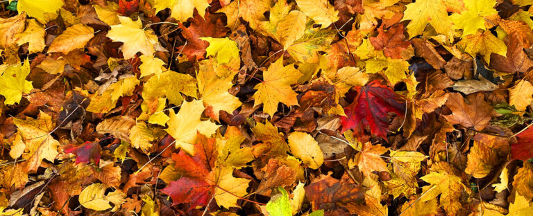 Autumn-Southwell-Acupuncture-Clinic