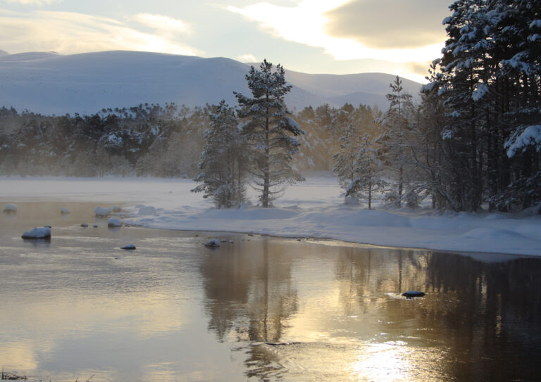 Winter Water Acupuncture