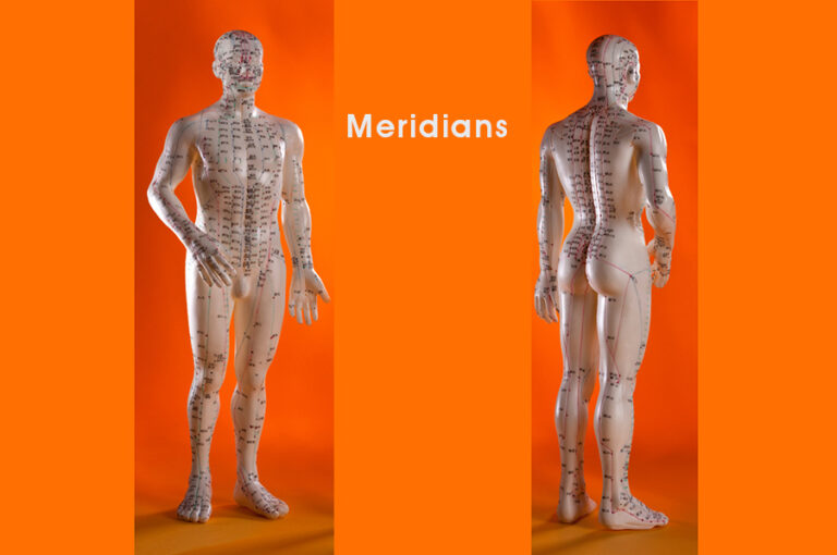 Acupuncture Meridians Southwell Acupuncture