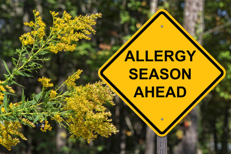 Allergy,Season,Ahead