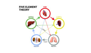 Five Elements - Southwell Acupunture Clinic