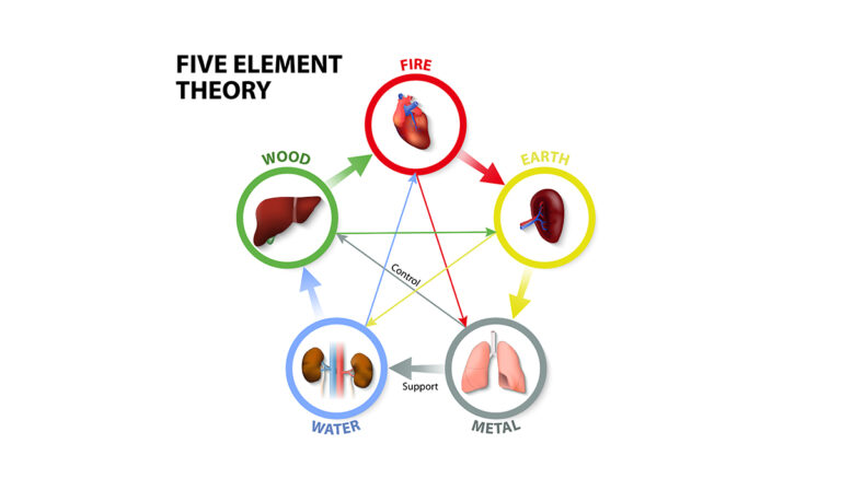 Five Elements - Southwell Acupunture Clinic