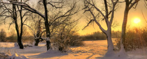 Southwell Acupuncture Winter
