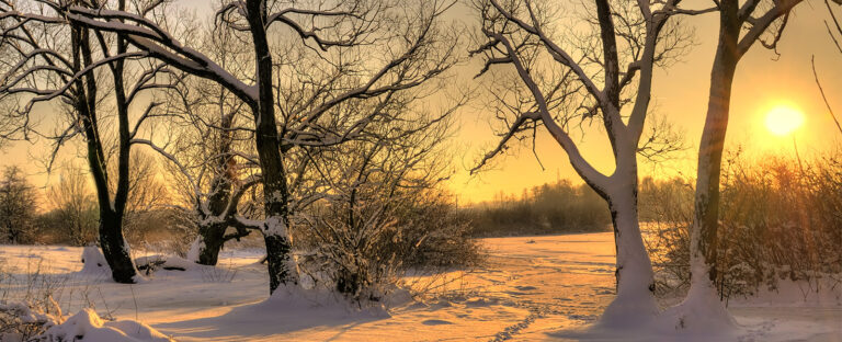 Southwell Acupuncture Winter