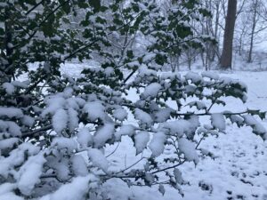 Winter Acupuncture Help