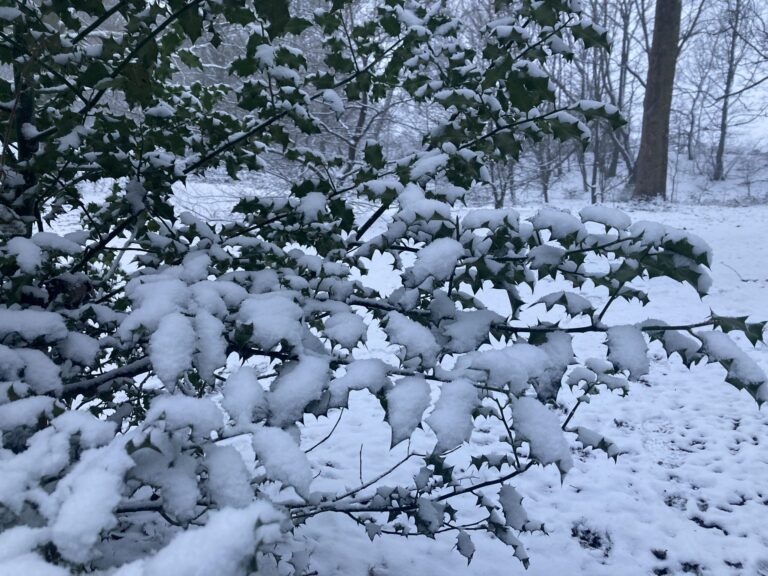 Winter Acupuncture Help