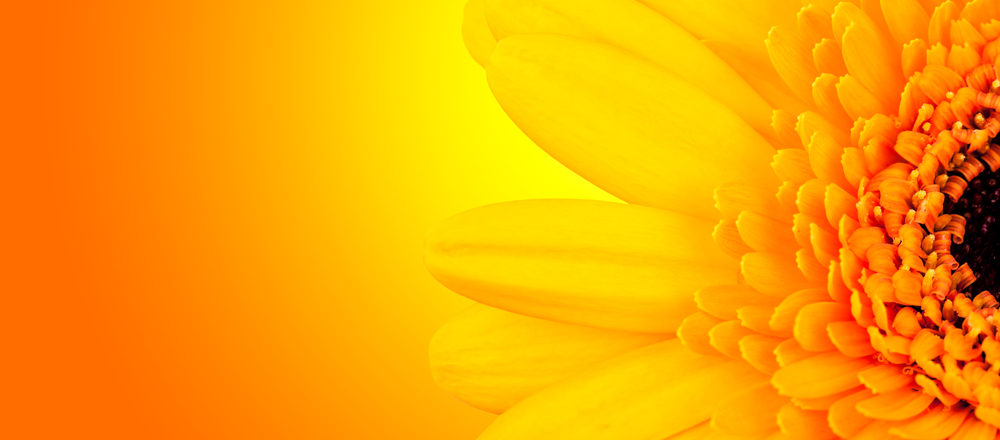 Acupuncture Summer Care
